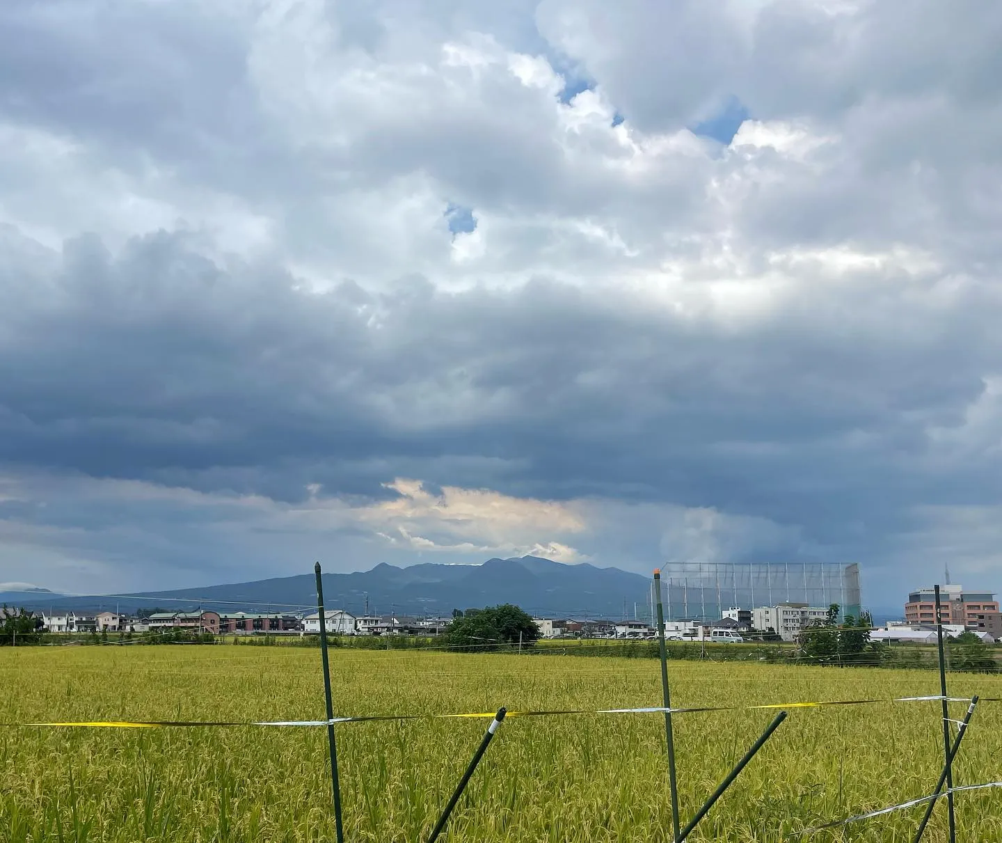 訪問看護道中の絶景✨