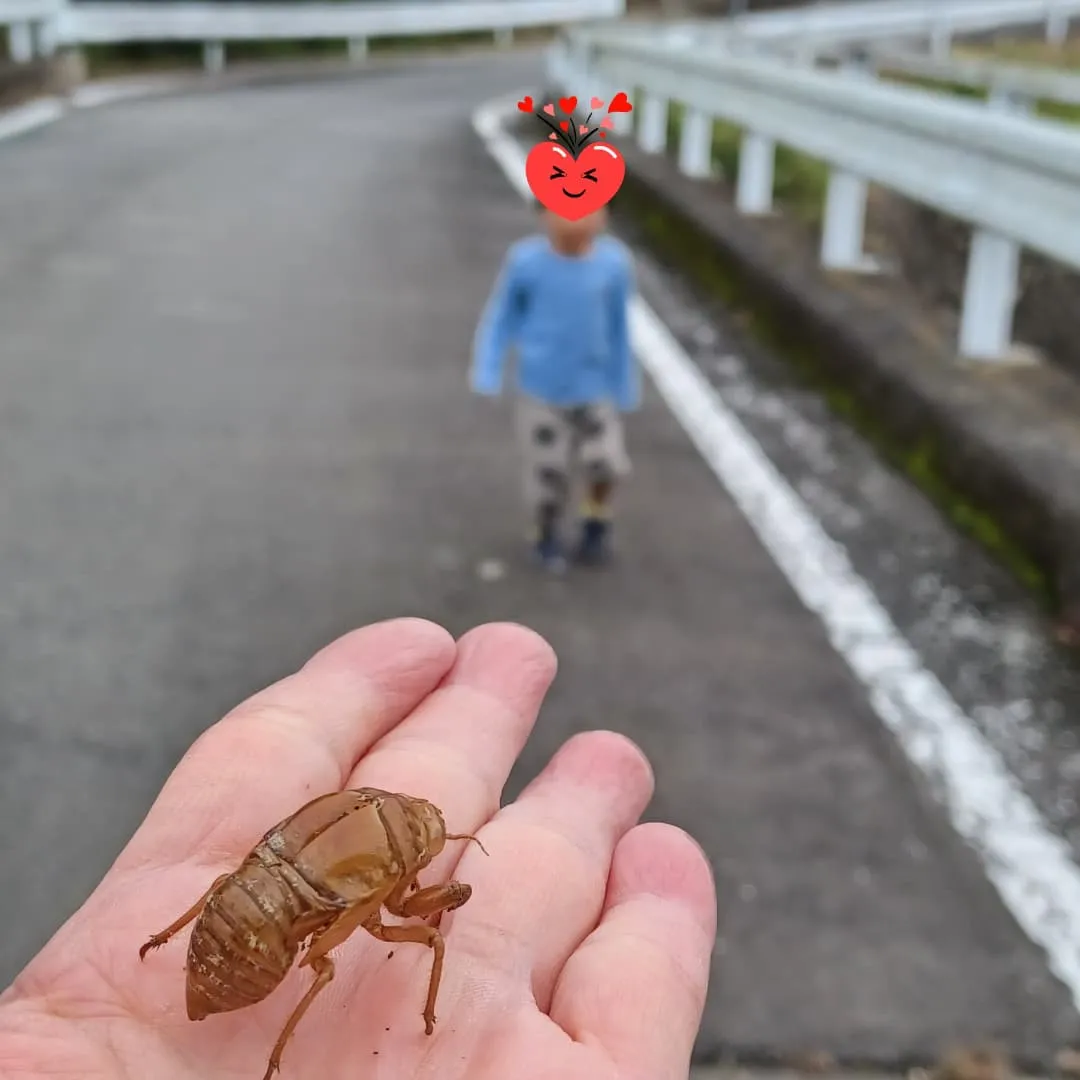 リハビリをかねて　自然散策