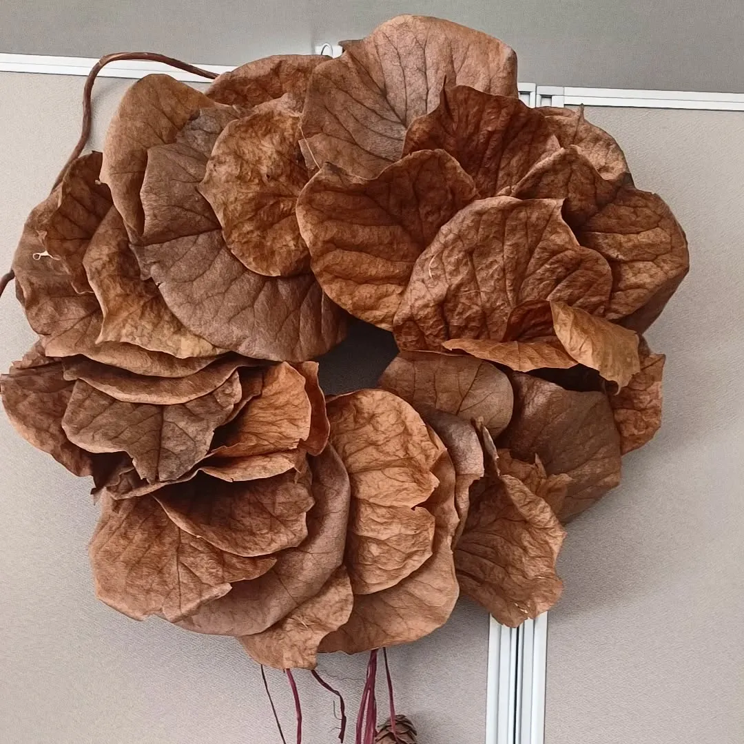 はくもくれんの葉っぱリース✨🎄✨