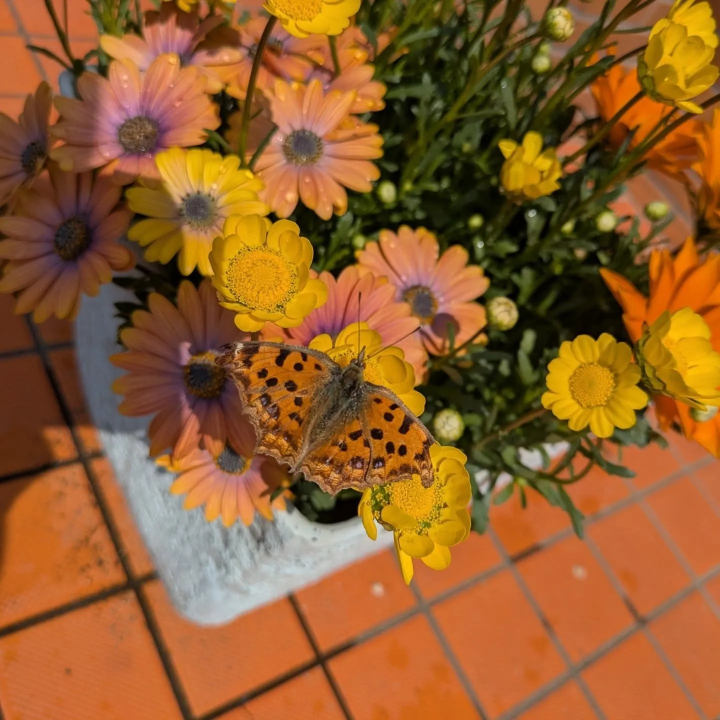 日曜日の訪問看護を終えて