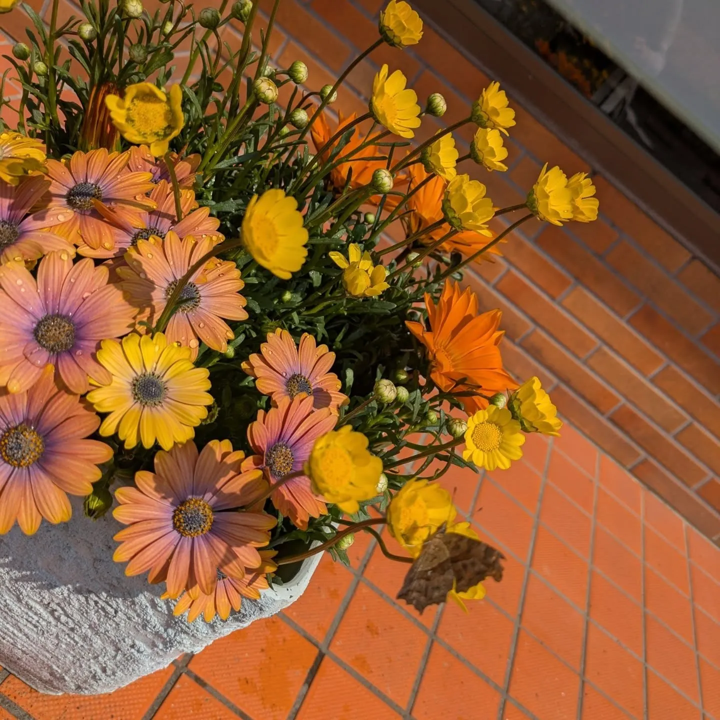 日曜日の訪問看護を終えて