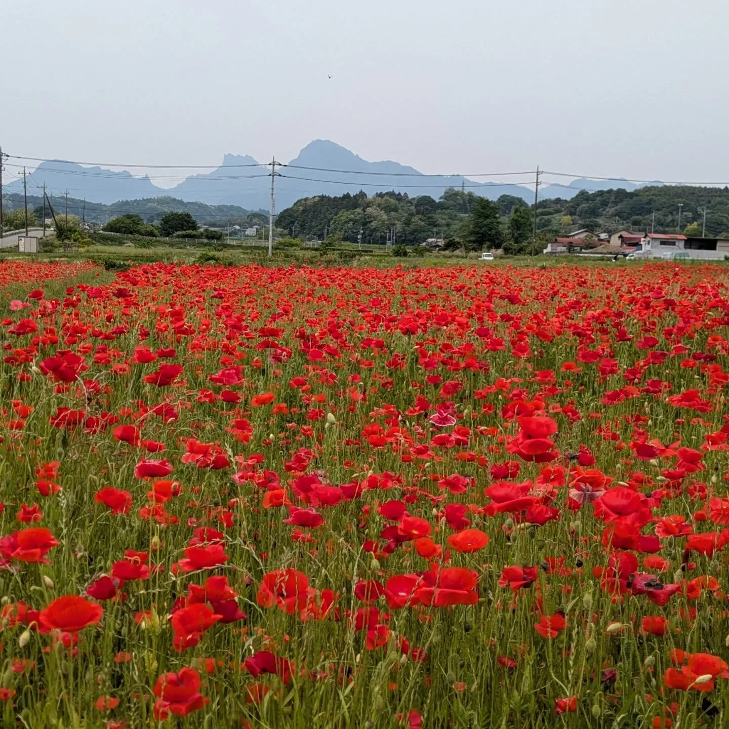 松井田への訪問看護の帰り