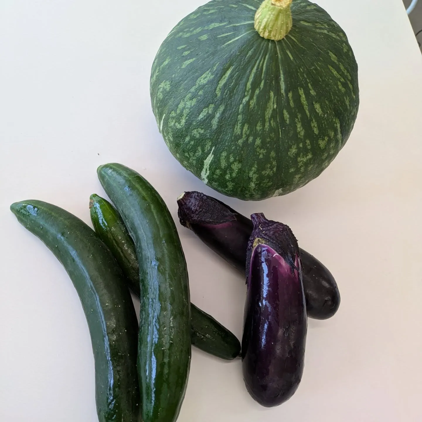 夏　太陽からの頂き物