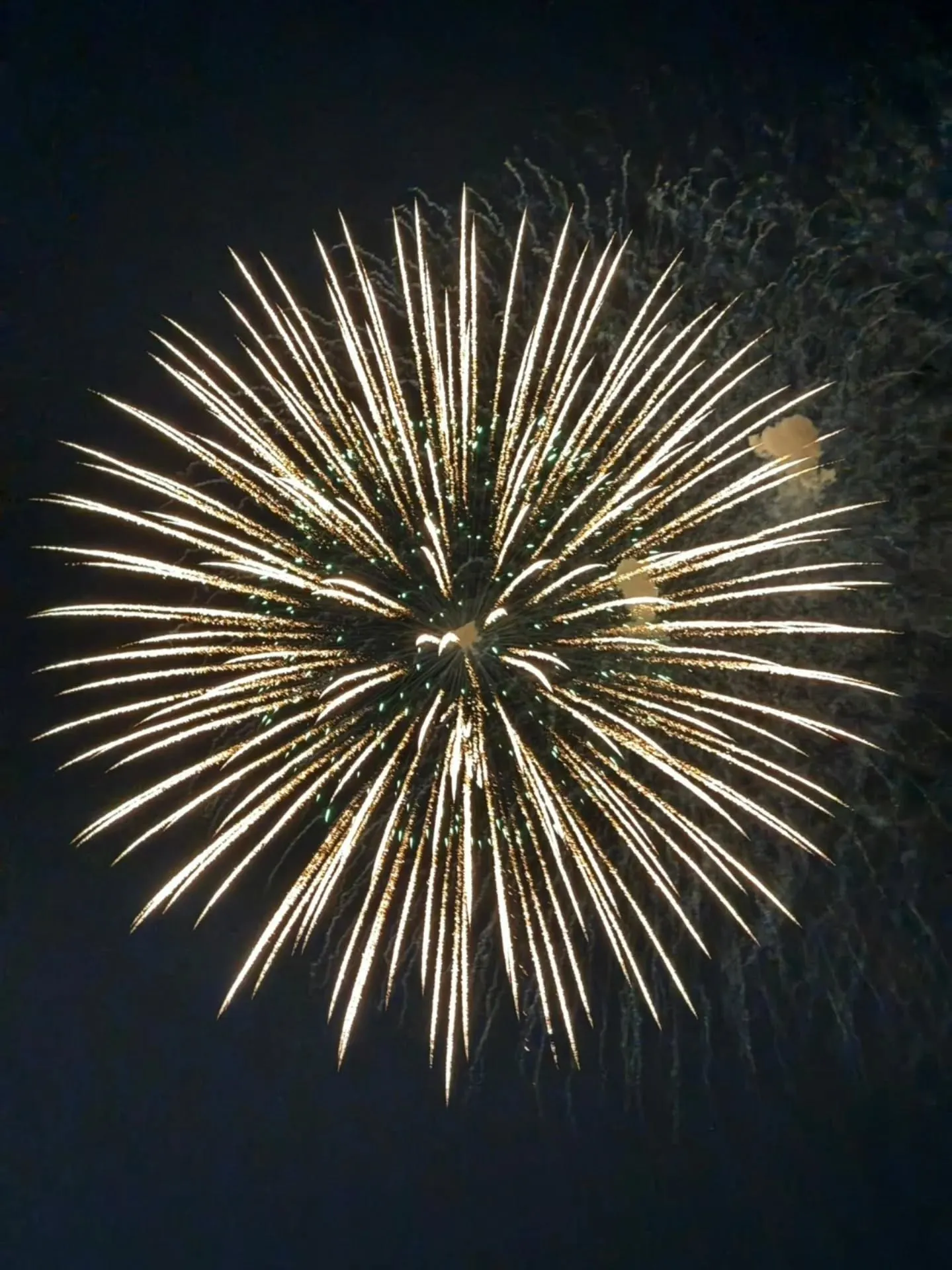 リアル高崎花火🎇