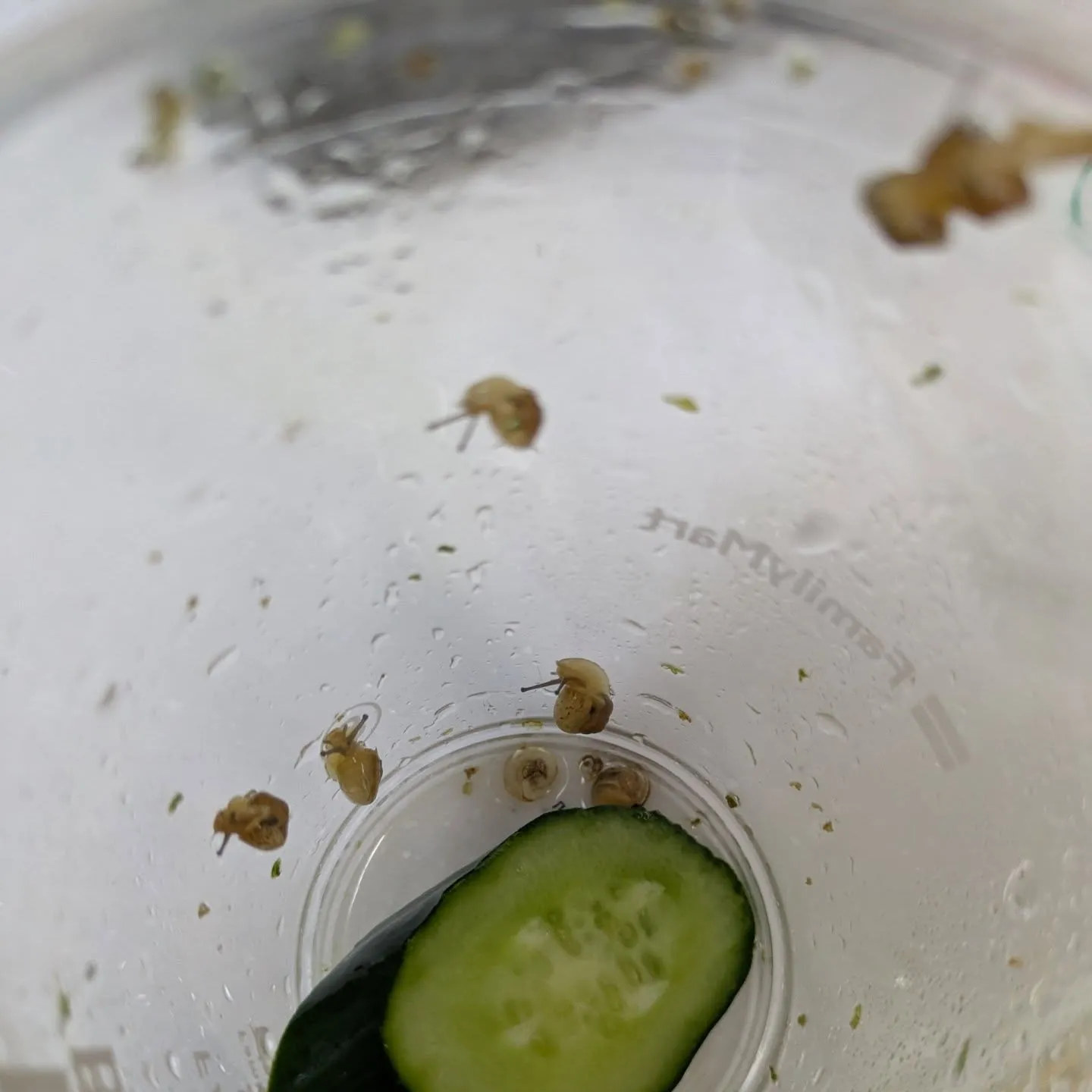 代表のペット6番目の皆様