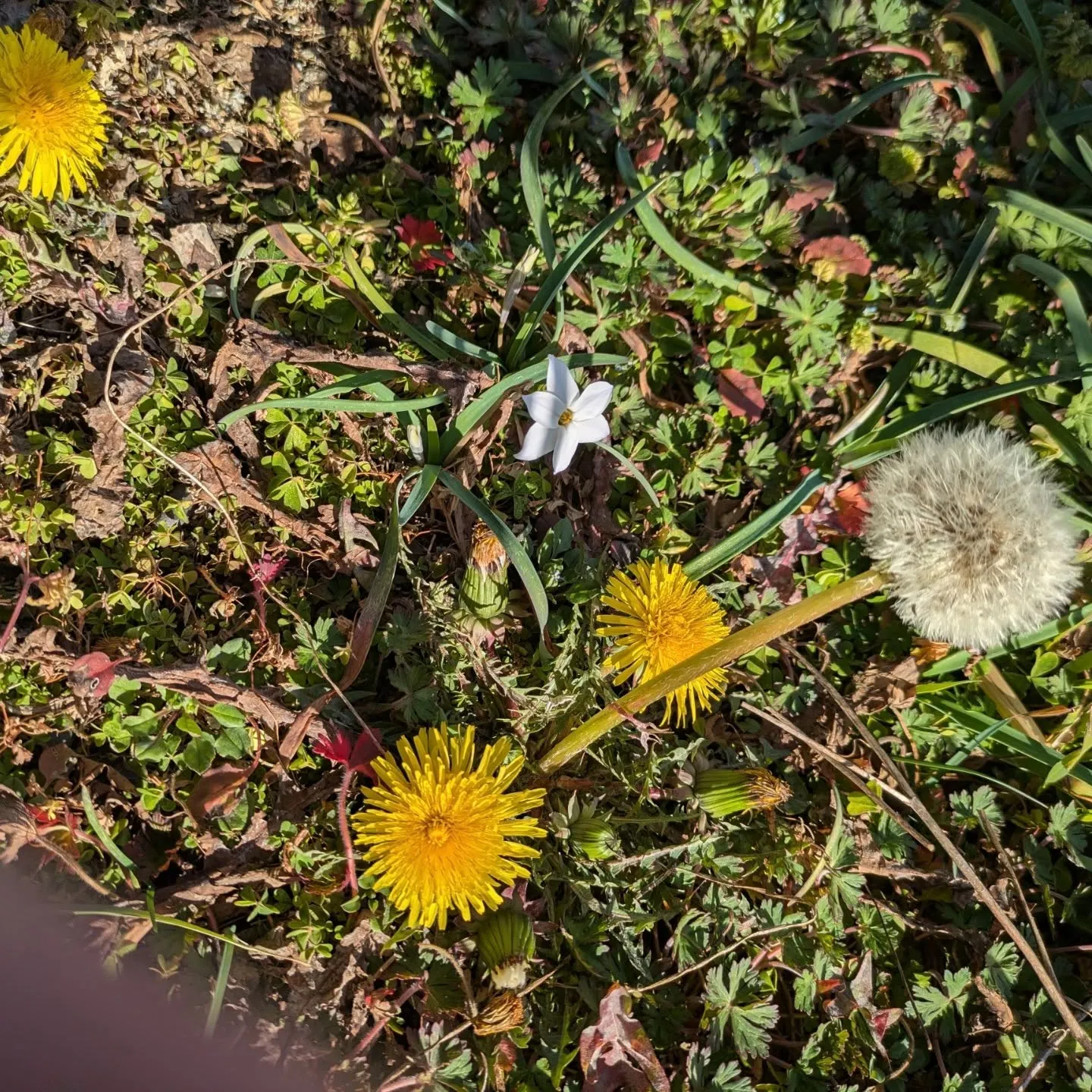 訪問看護リハビリステーションはるのひ