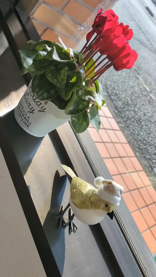 はるのひにクリスマスバード#